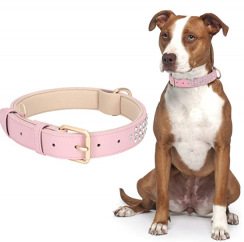 Sale With 50 Packs Diamond Studded Pet Collar Waterproof
