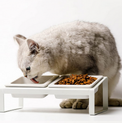 40 pcs Elevated Cat Bowls with Stand